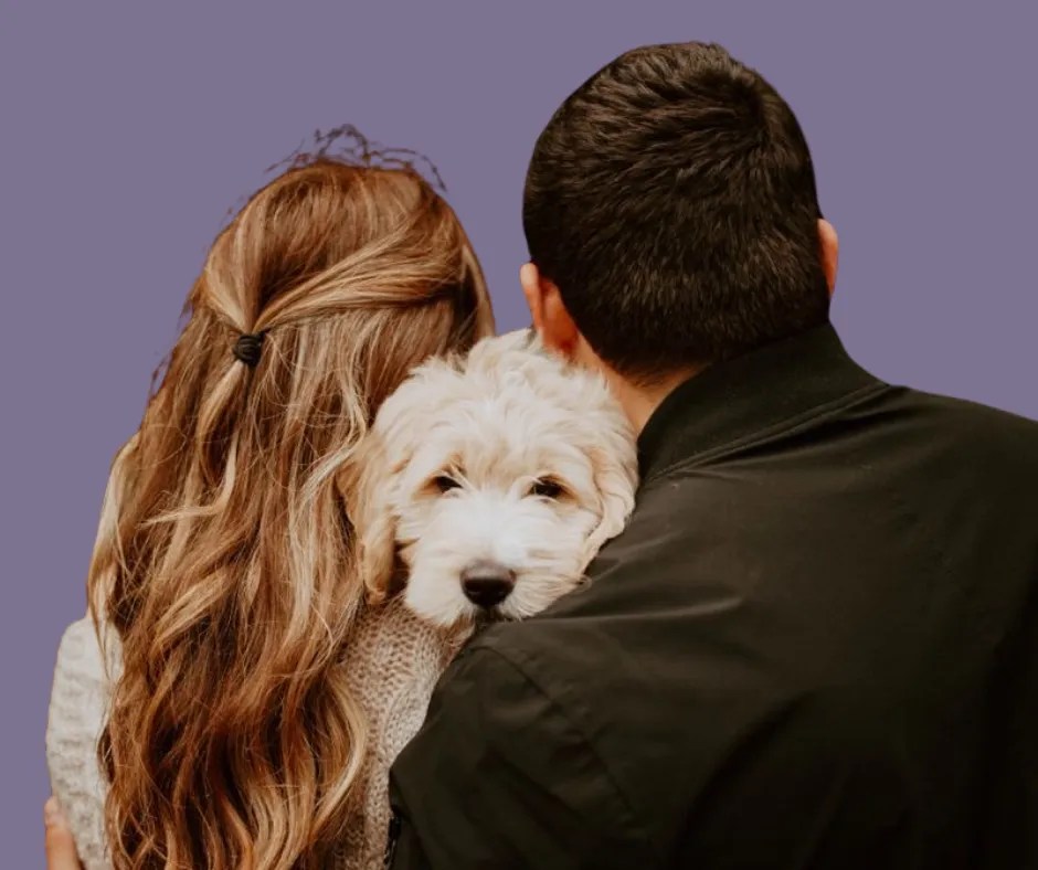 L&rsquo;essor de l’empire des bébés à&nbsp;fourrure